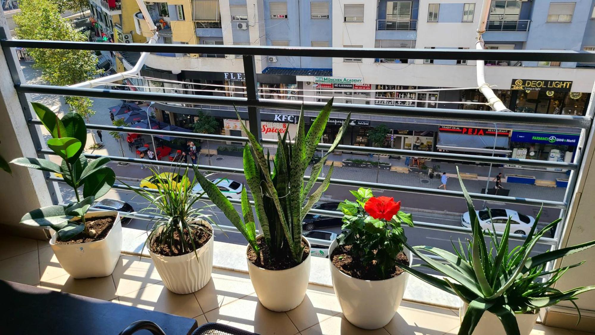 Marinela Apartment ティラナ エクステリア 写真
